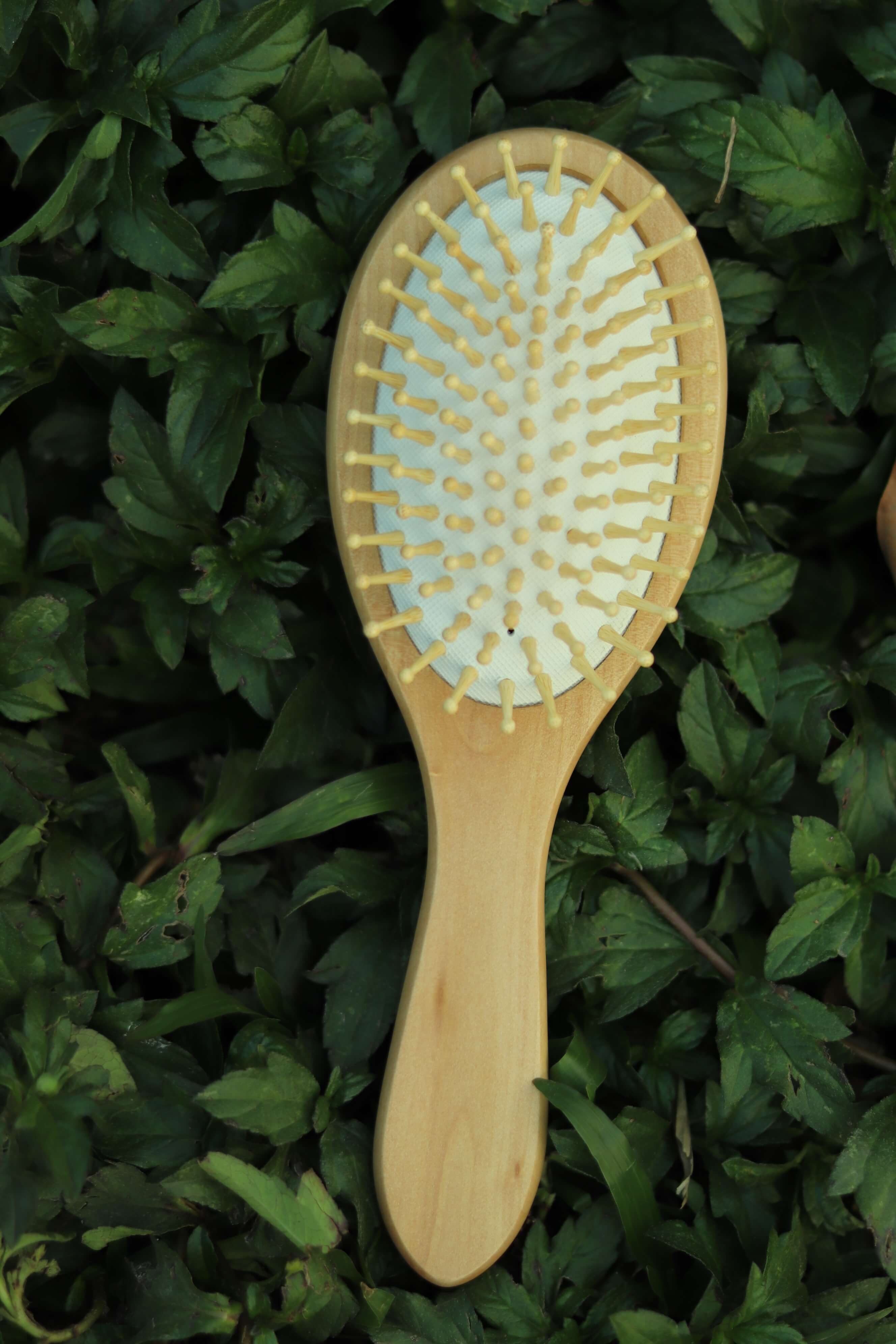 Oval Shape Wooden Hair Brush with Box Paddle Detangling Hair Brushes